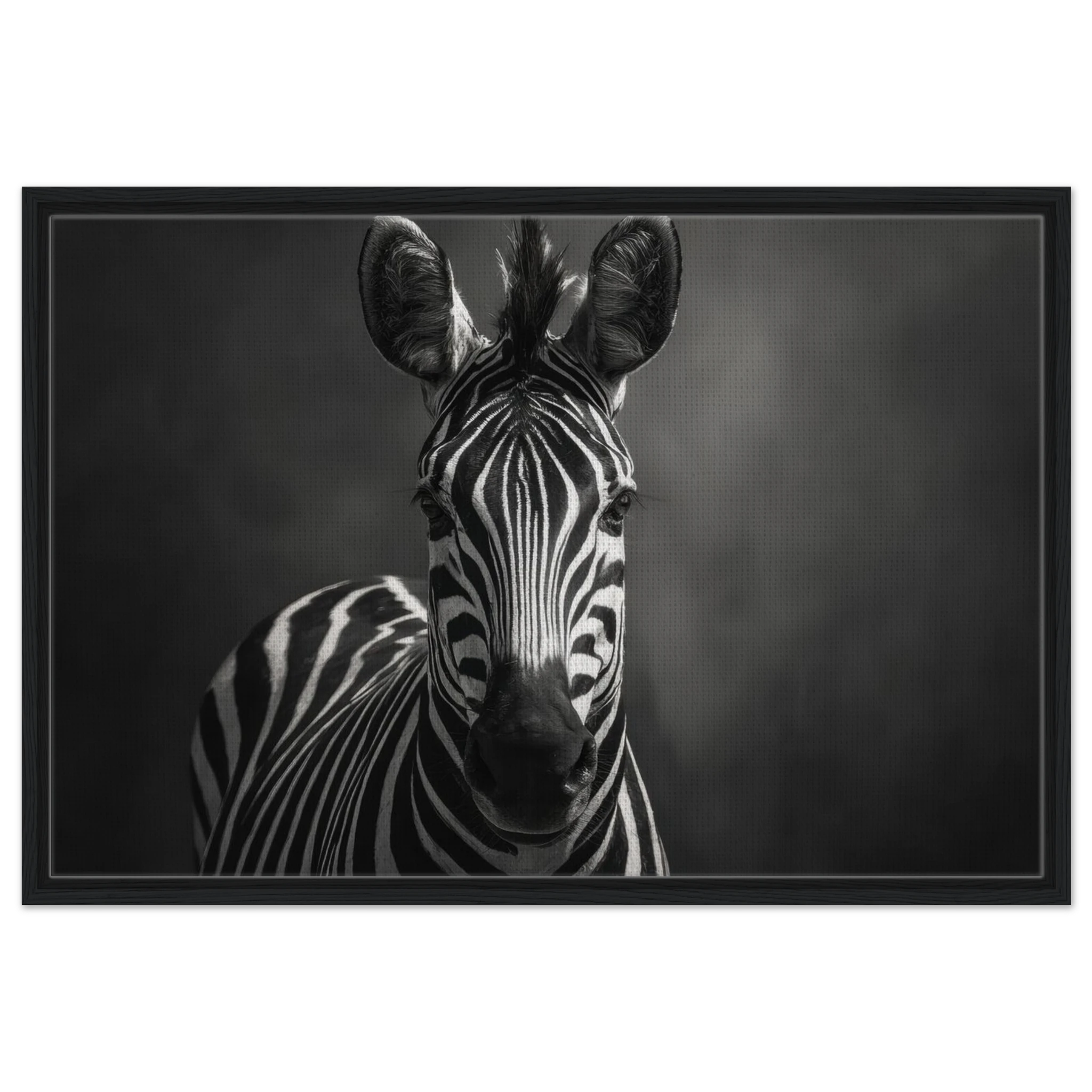 9defff65-c2c8-4c3e-8ac5-8060fd3fbc4c