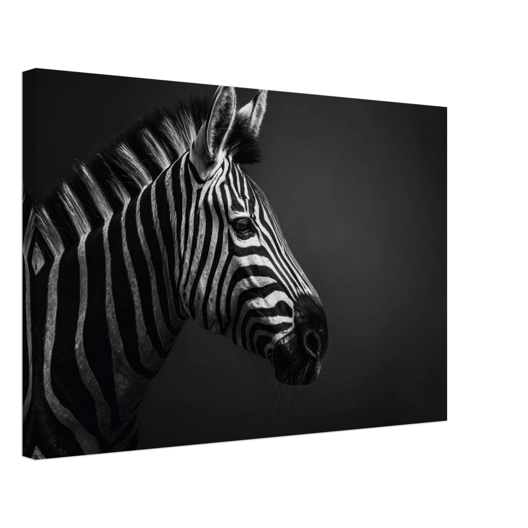 a3f5248d-60d8-40cb-9d3b-5b8137137a93