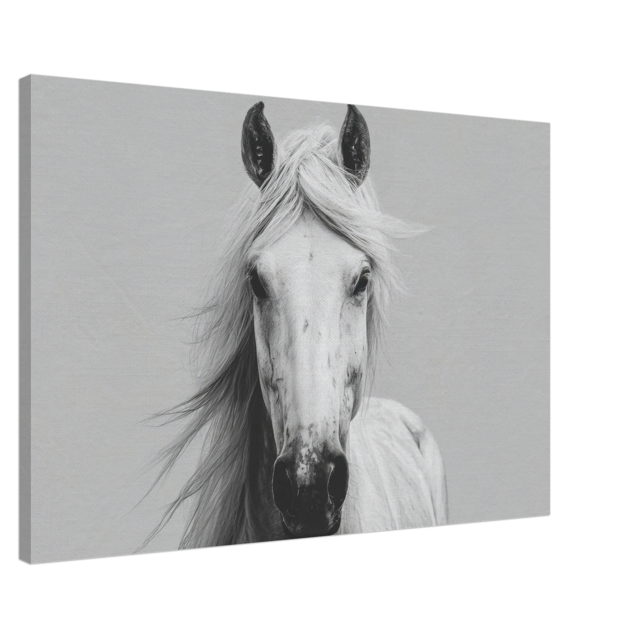 a59ce011-0ce6-472e-a416-7fee7126b70a