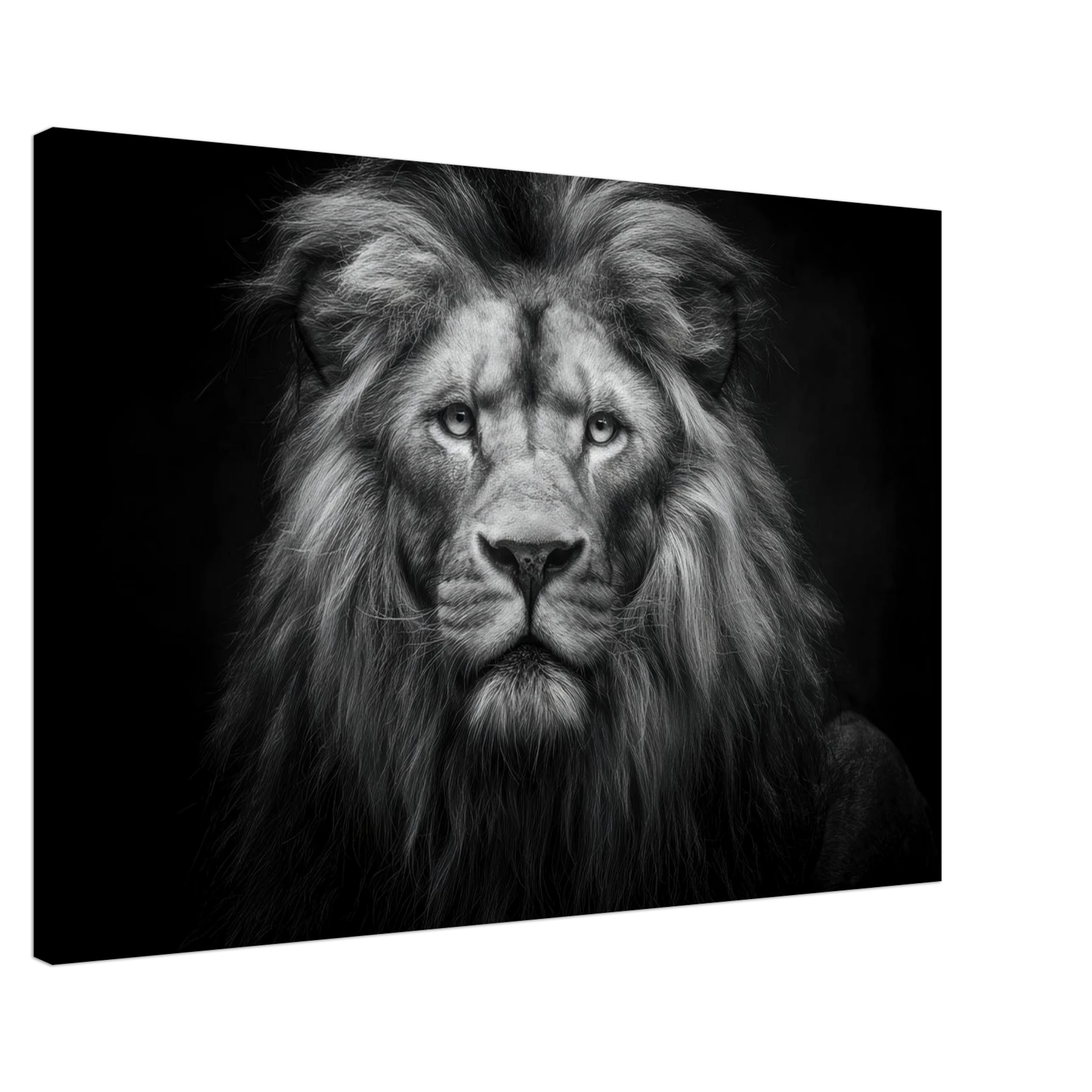 a6bf0879-7bba-471e-b6ae-3710ff83d41d