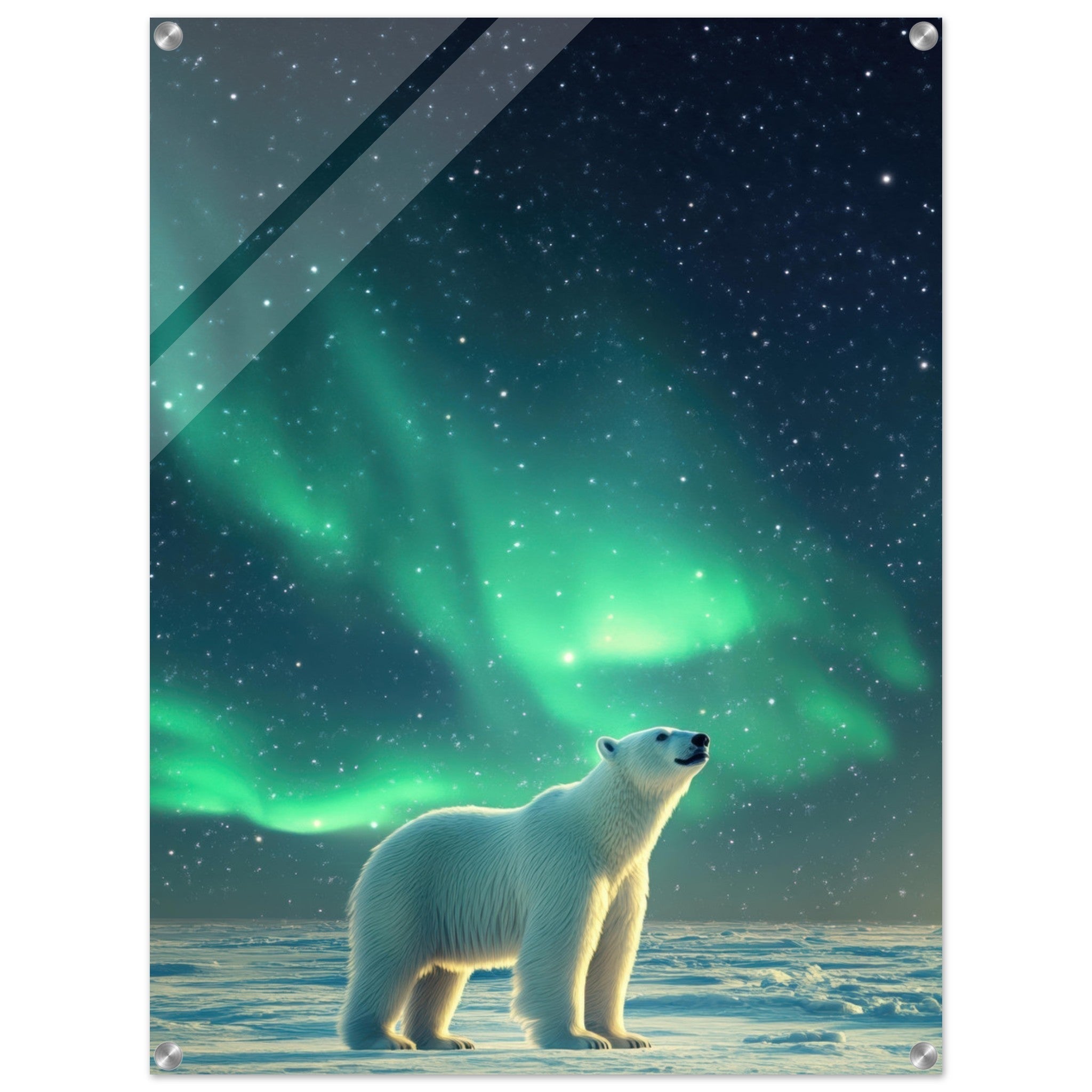 Acrylic Print Portrait - Polar Bear Under the Aurora Borealis A solitary 3 - Shop Ai Art WebShop - Digital Art online Store