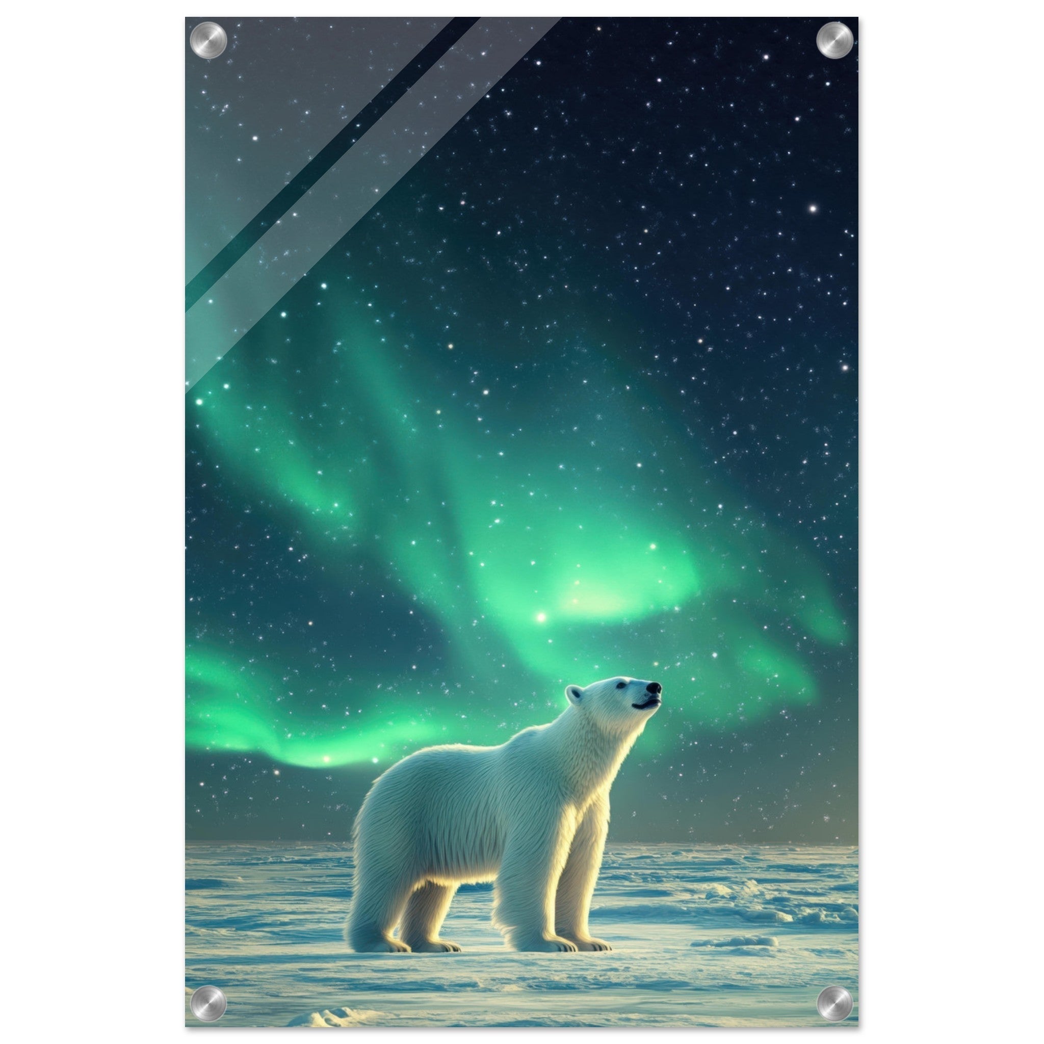 Acrylic Print Portrait - Polar Bear Under the Aurora Borealis A solitary 3 - Shop Ai Art WebShop - Digital Art online Store