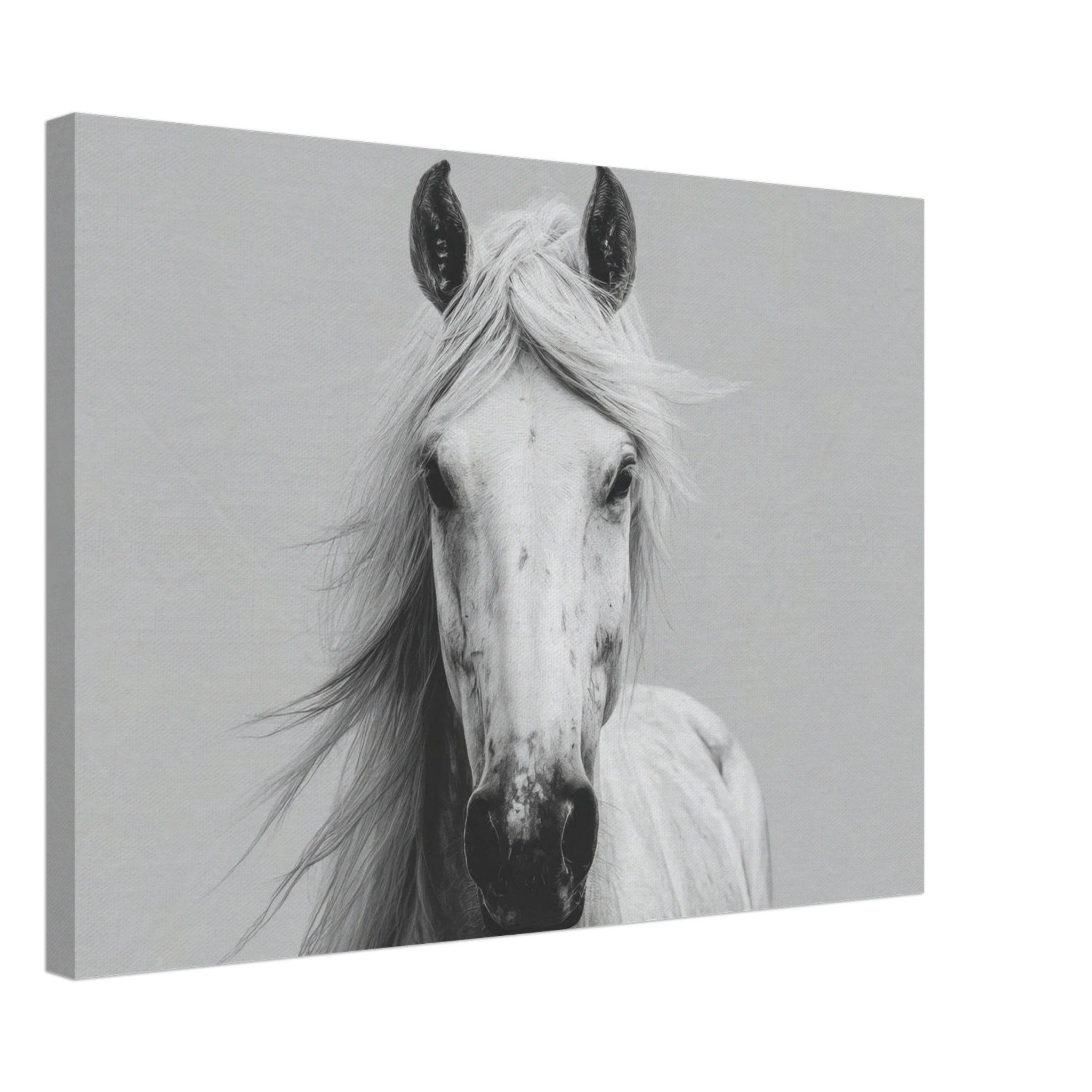 b6064919-aac7-4ef2-aaac-9cef3ae00154