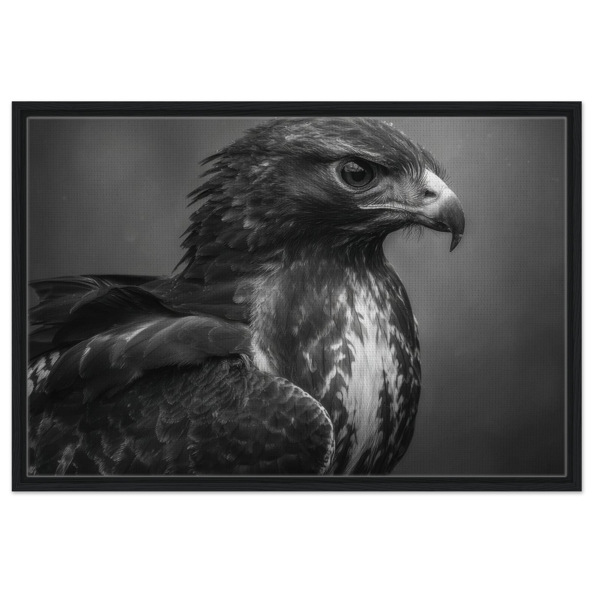 c24397d0-2656-4e99-bb90-a230711c978a