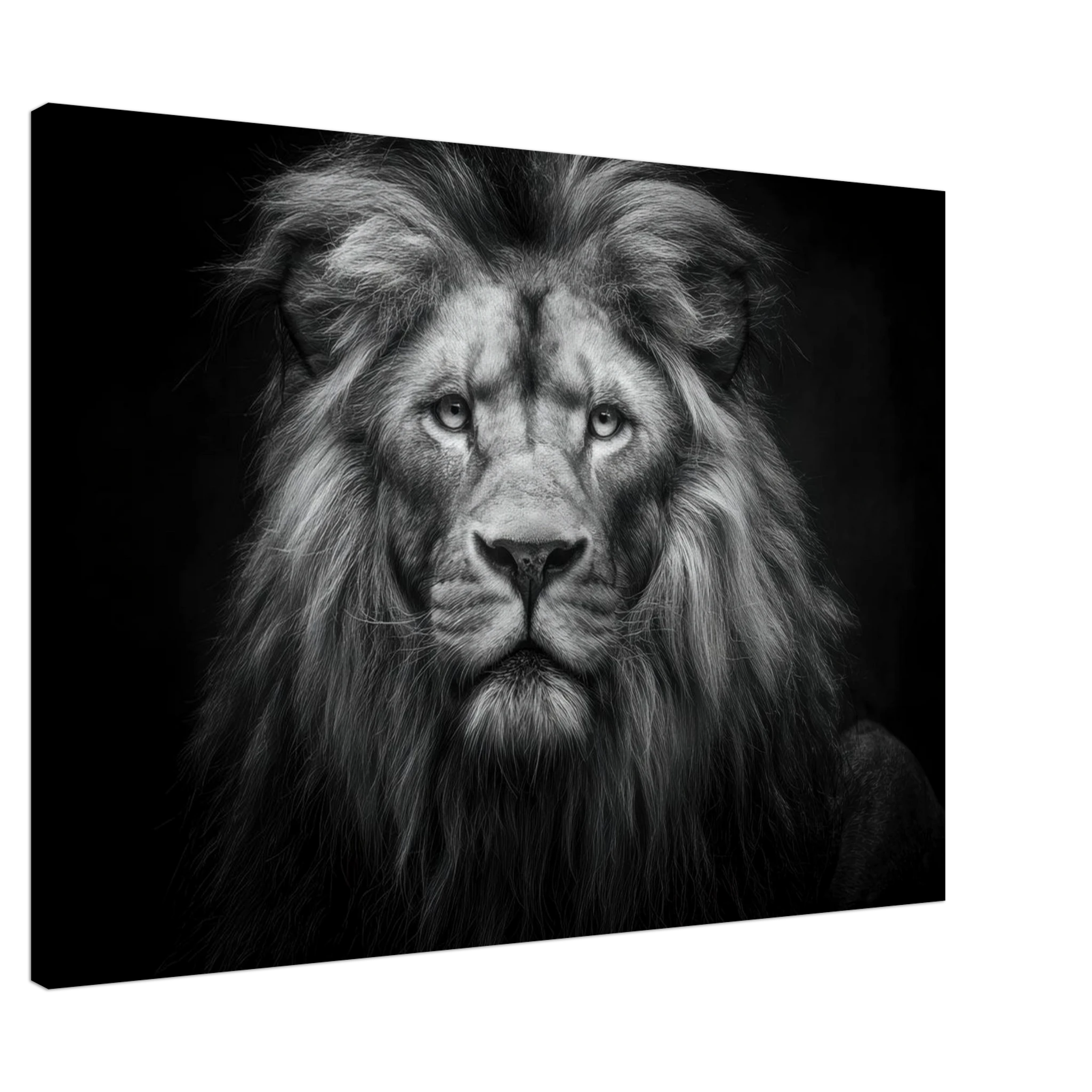 c3916450-ce3a-41f8-9c0f-0bc80874ad58