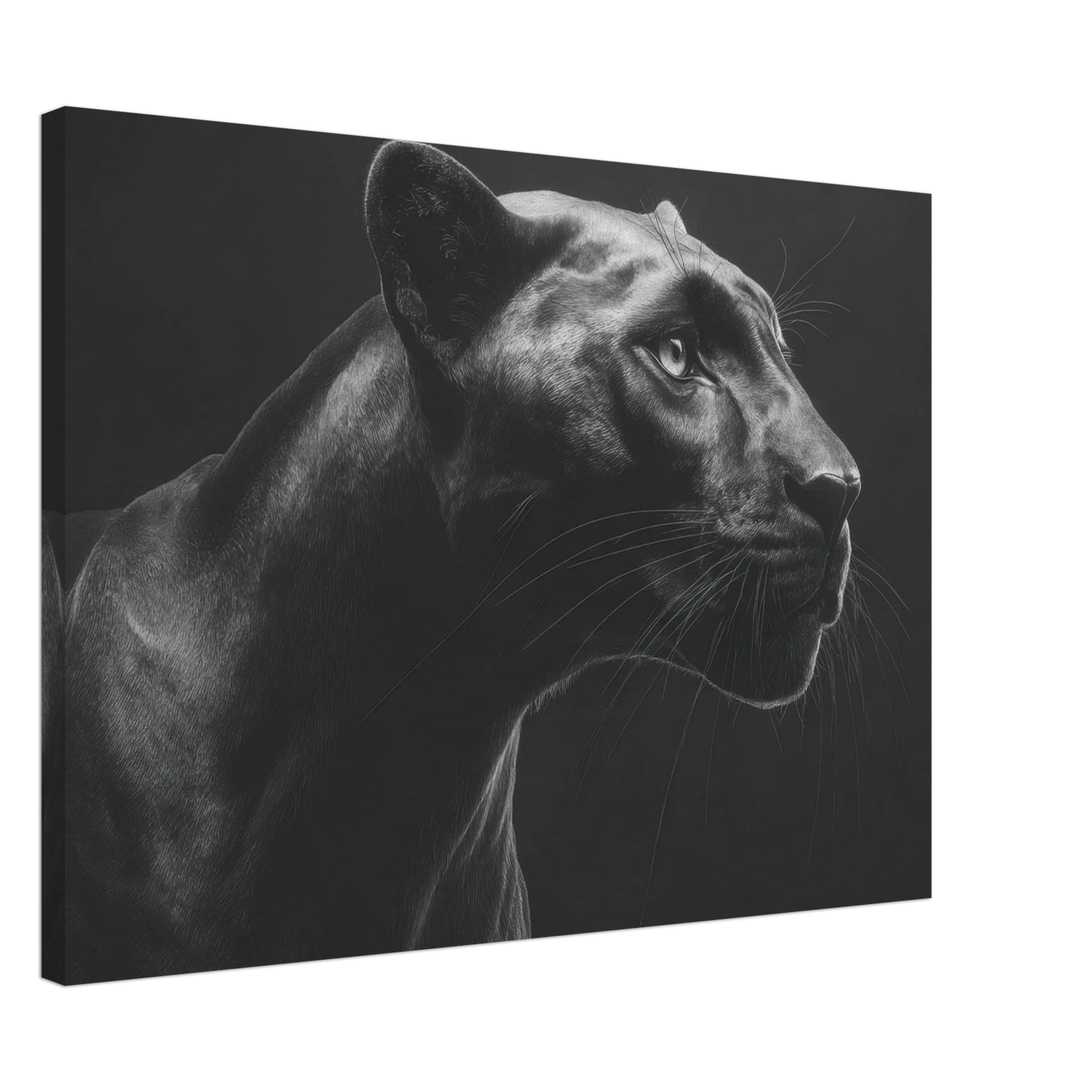 c6b16dd9-1455-4f8a-8a26-51412b279d92