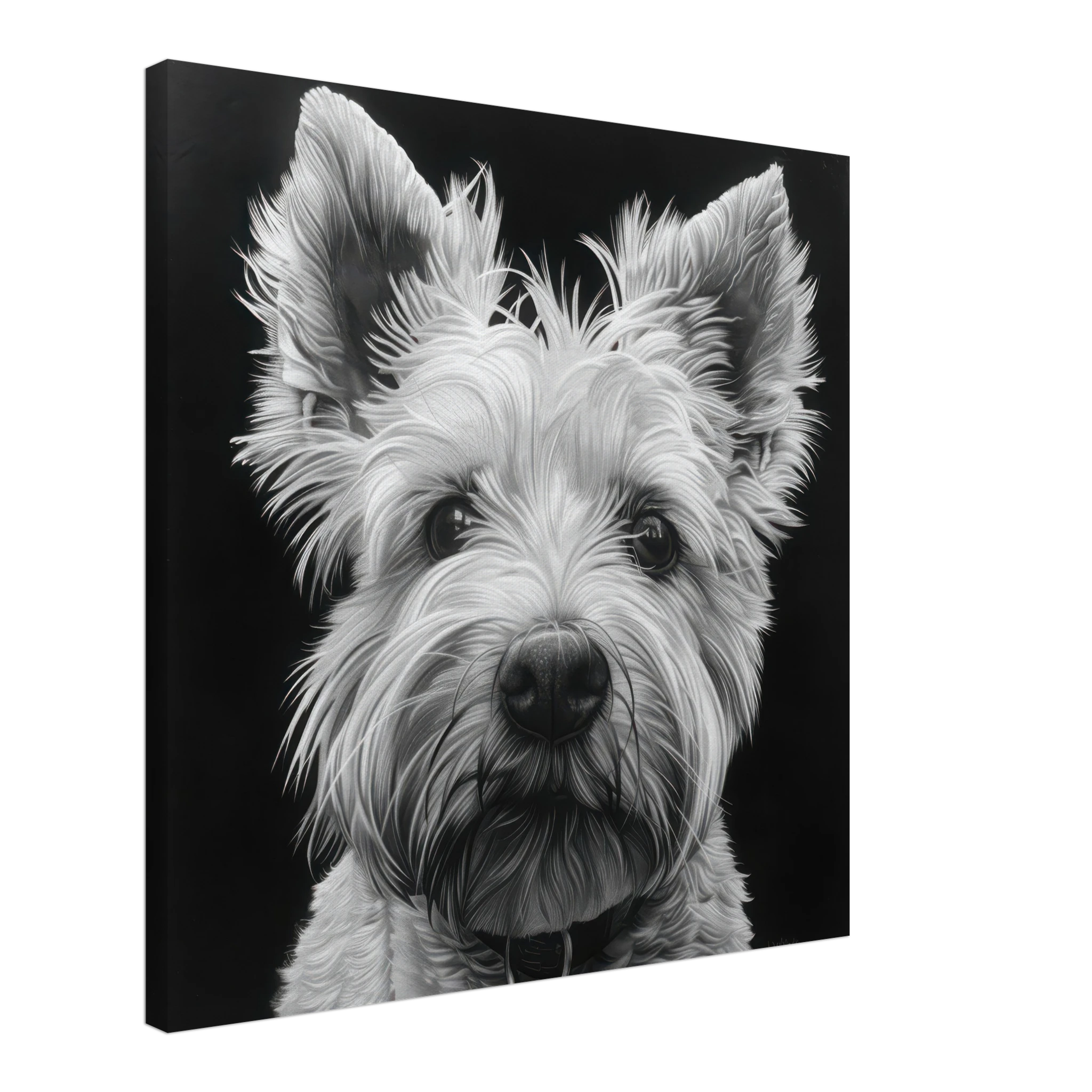 c8f4d5a6-8972-4d35-8a2f-08dbe227309f