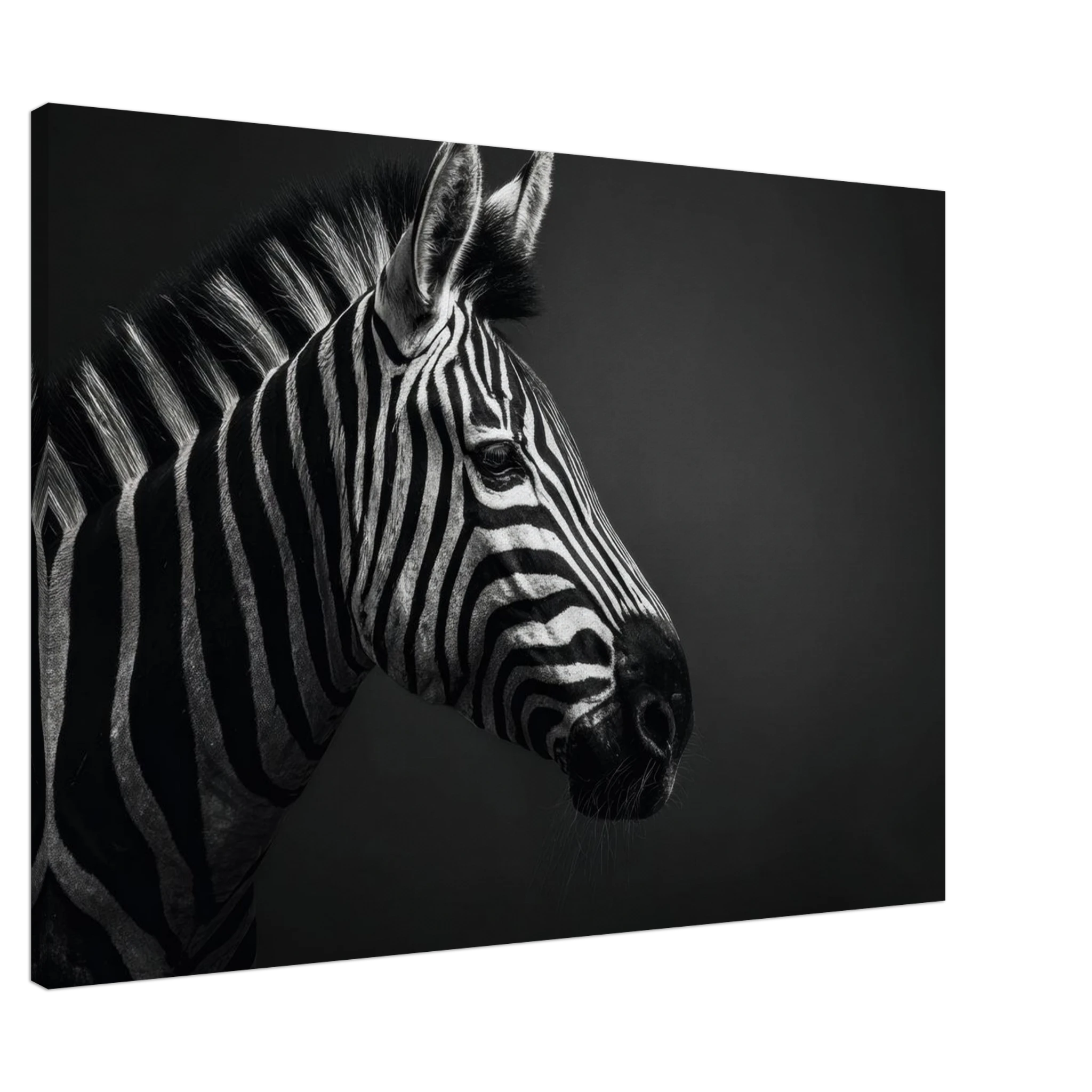 cae5e07f-ffc0-4449-91ac-411b823070d5