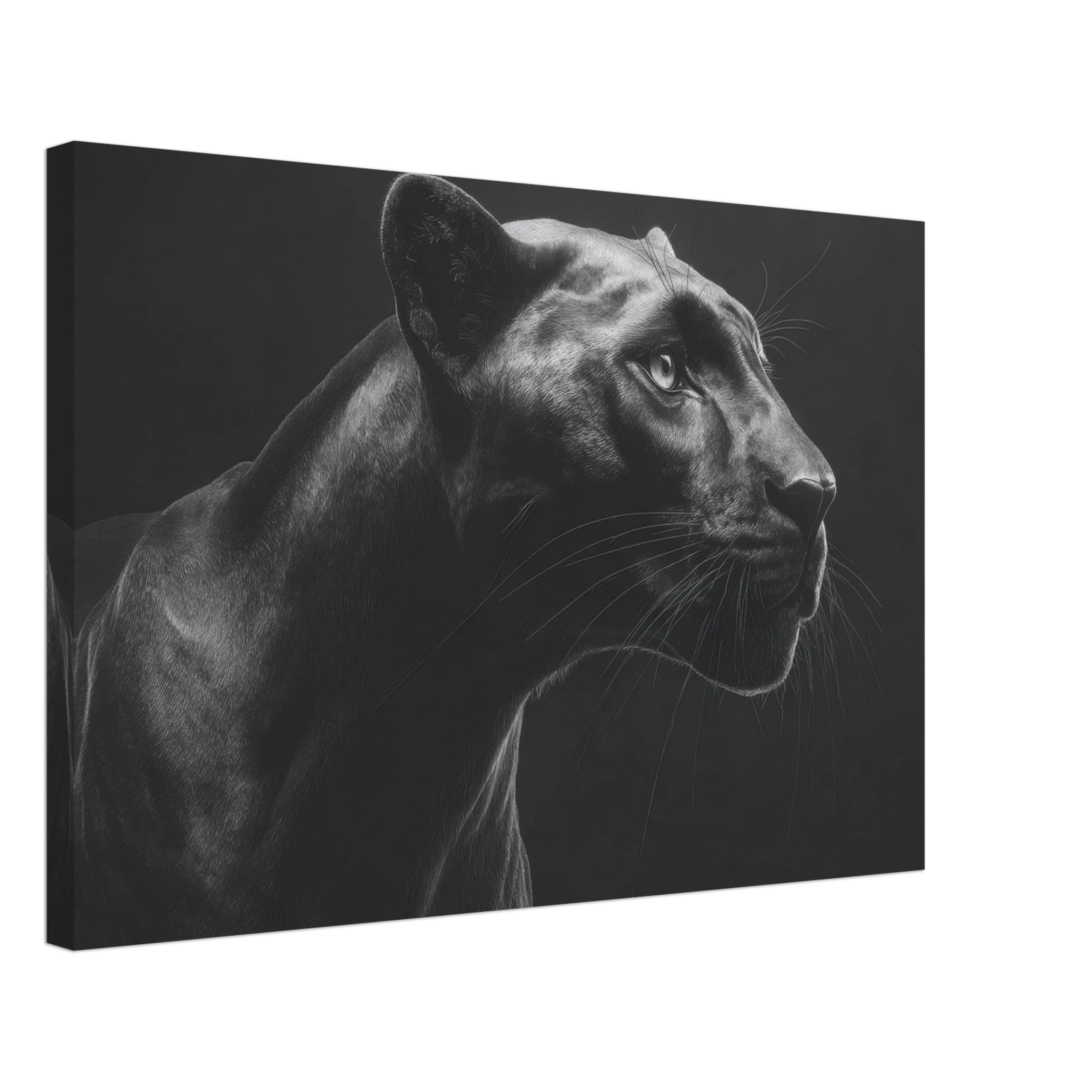 cdcd9924-c652-444d-bc7f-9192c2ca460b