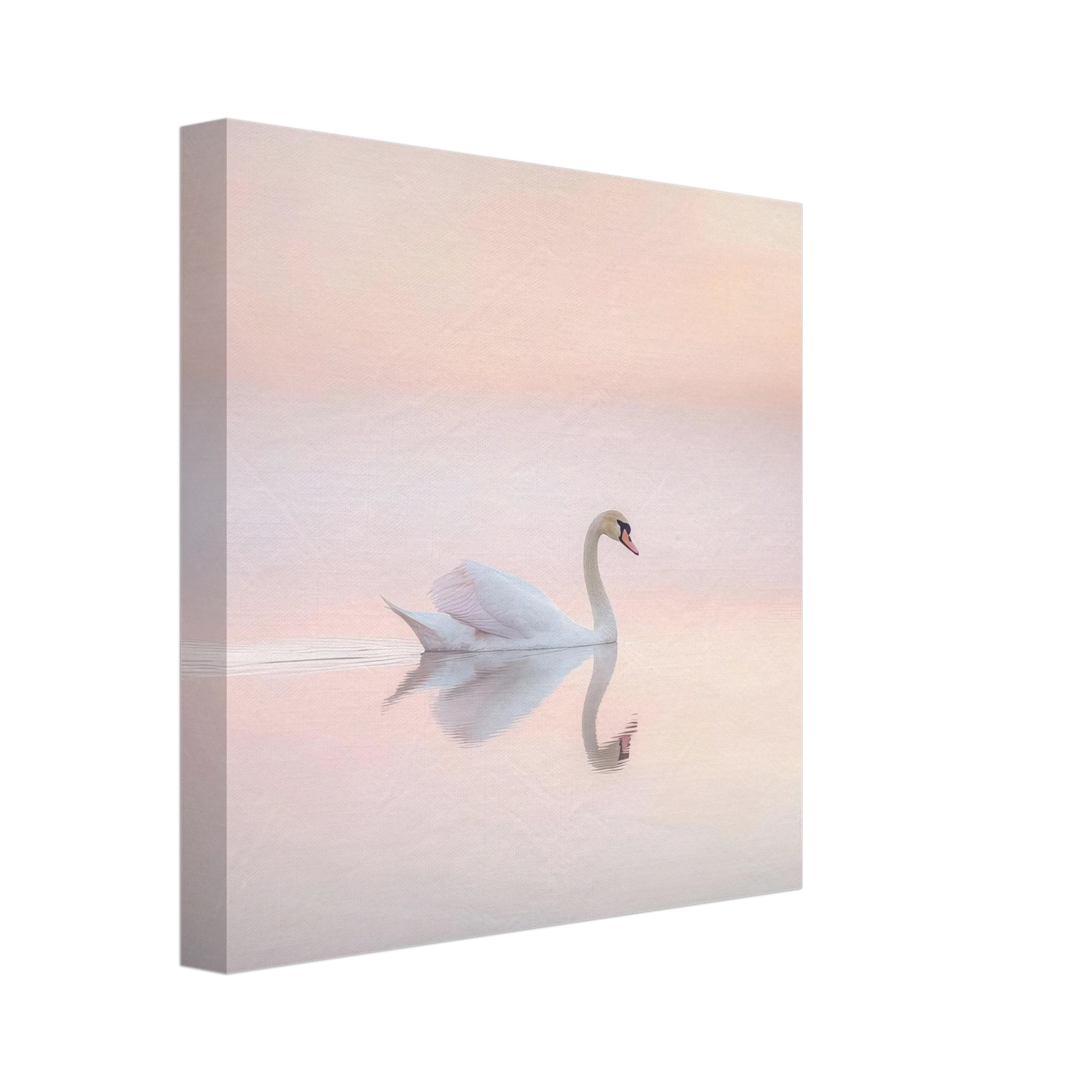 dcabd215-4d93-4bf9-9a12-a5a159f7cb99