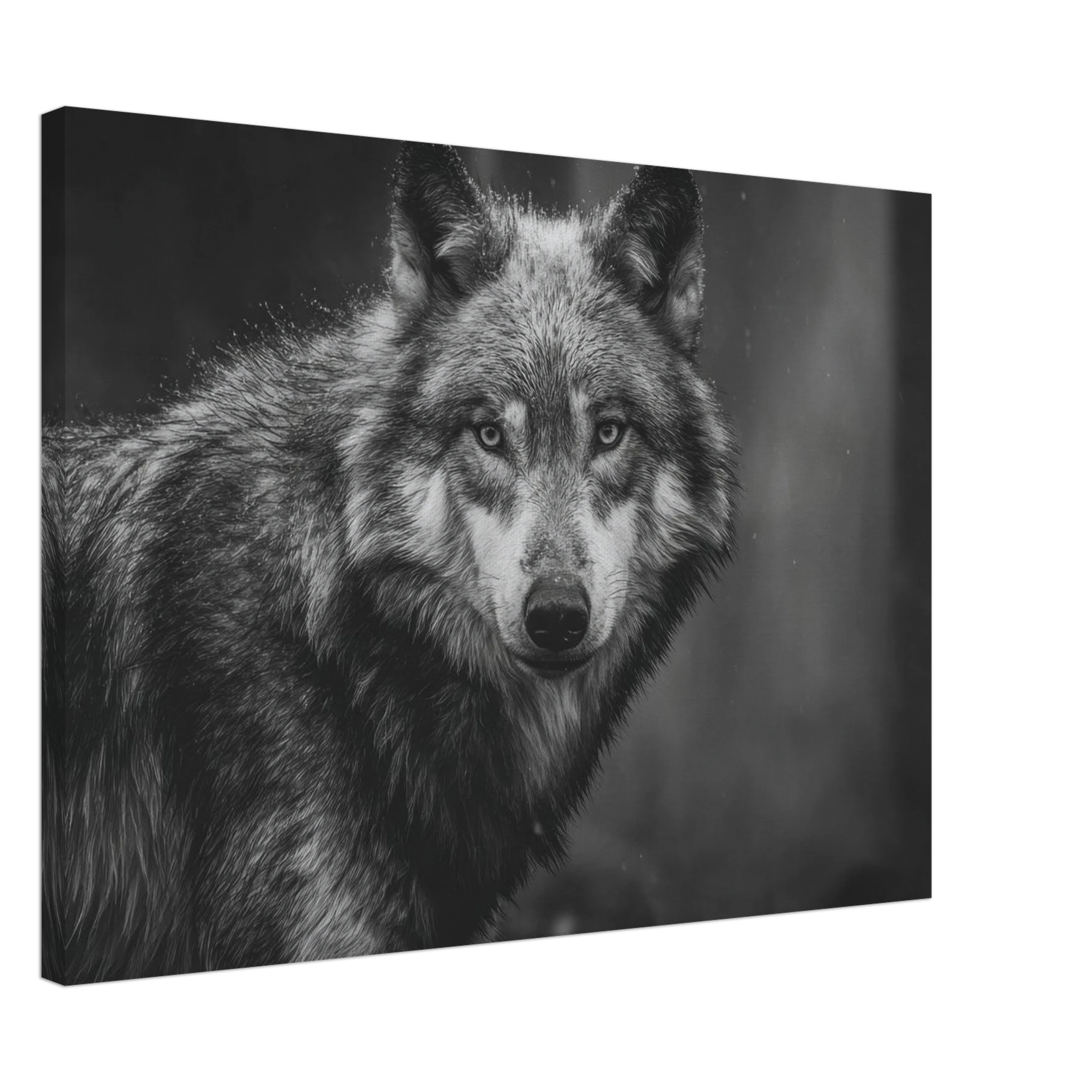 df51c395-fcf2-4496-89ba-a04e3f6fb502