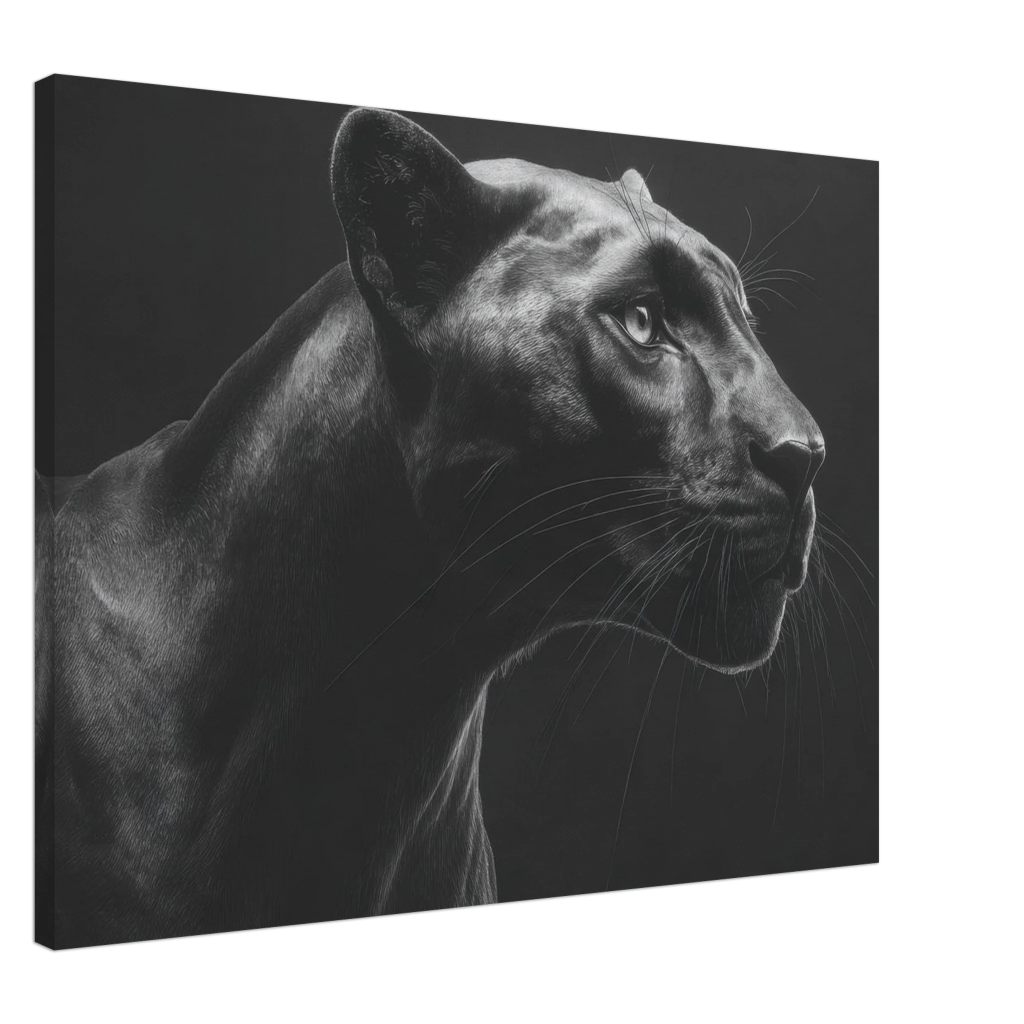 f4062808-8ffa-4296-bd52-071e307f4c28