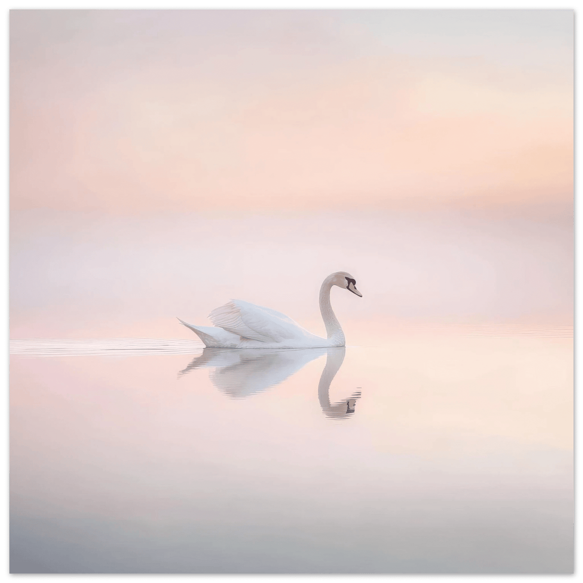 Graceful Swan on a Serene Lake 3 - Shop Ai Art WebShop - Digital Art online Store