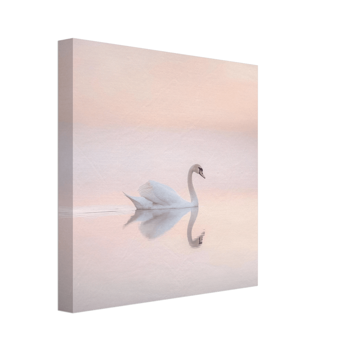 Graceful Swan on a Serene Lake 3 - Shop Ai Art WebShop - Digital Art online Store
