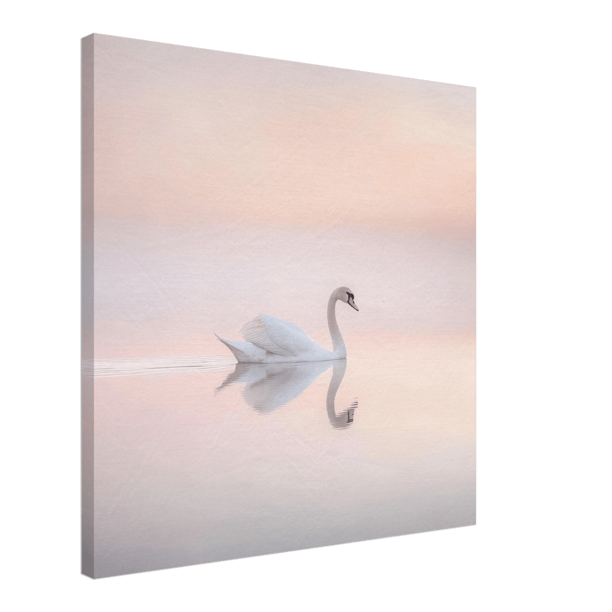 Graceful Swan on a Serene Lake 3 - Shop Ai Art WebShop - Digital Art online Store