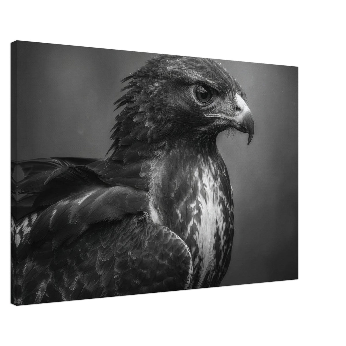 Hawk 0 - Shop Ai Art WebShop - Digital Art online Store