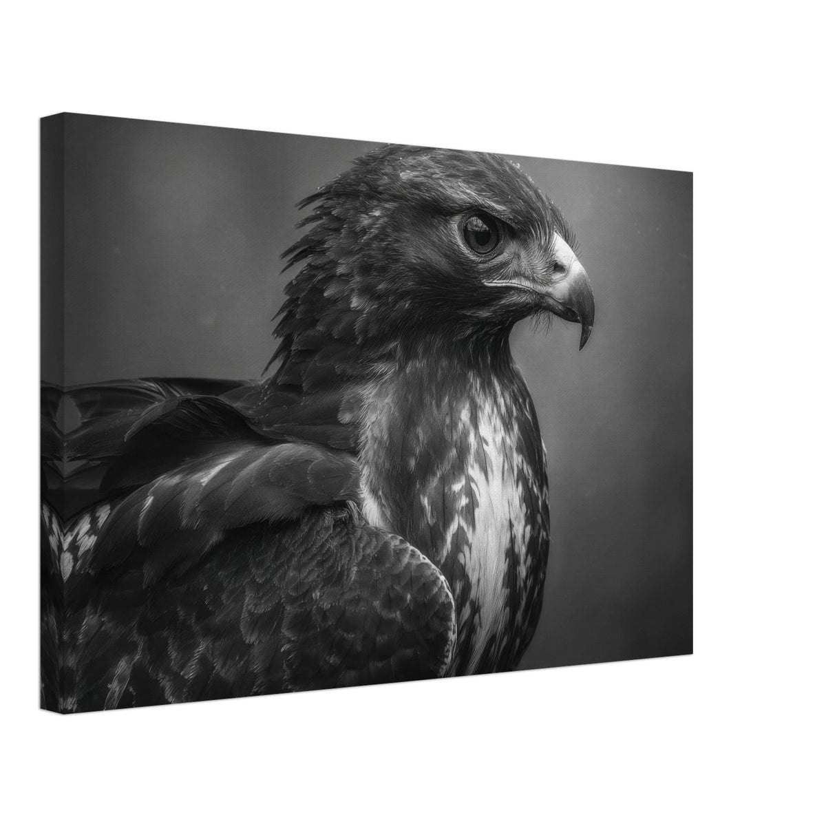 Hawk 0 - Shop Ai Art WebShop - Digital Art online Store