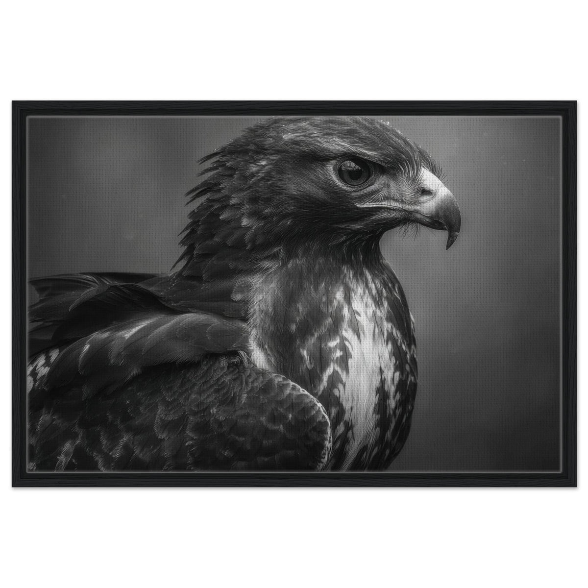Hawk 0 - Shop Ai Art WebShop - Digital Art online Store