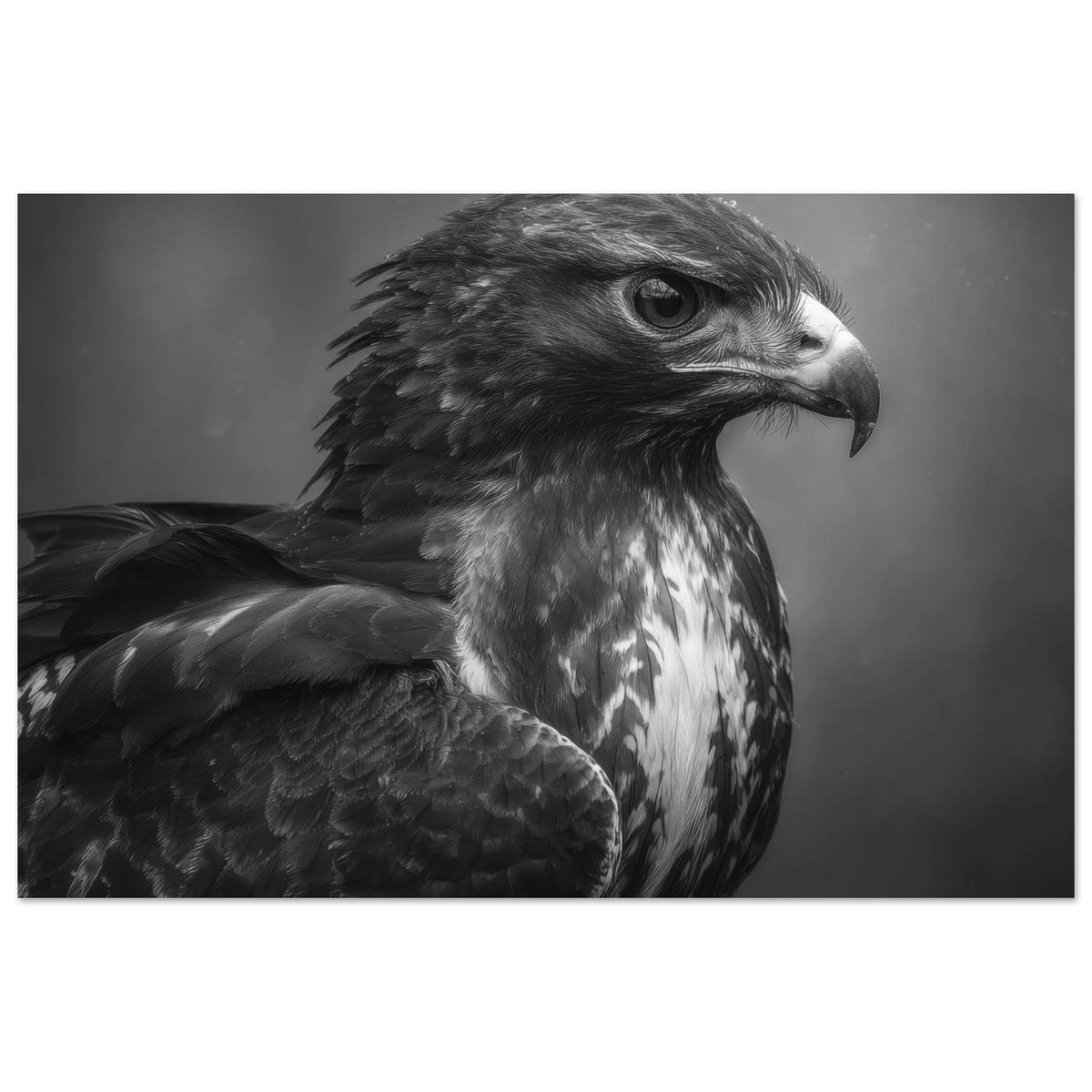 Hawk 0 - Shop Ai Art WebShop - Digital Art online Store
