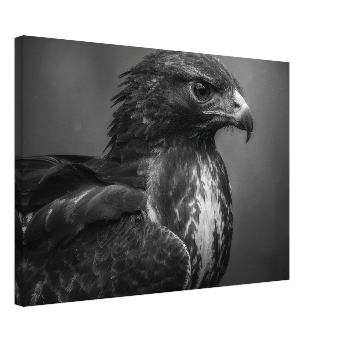 Hawk 0 - Shop Ai Art WebShop - Digital Art online Store