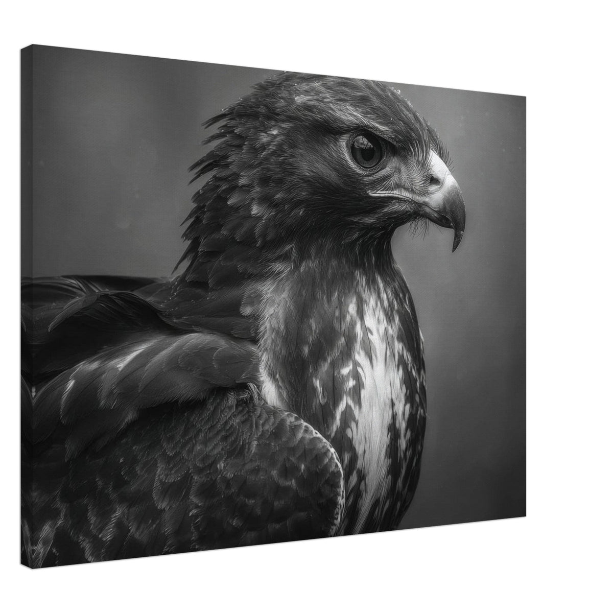 Hawk 0 - Shop Ai Art WebShop - Digital Art online Store