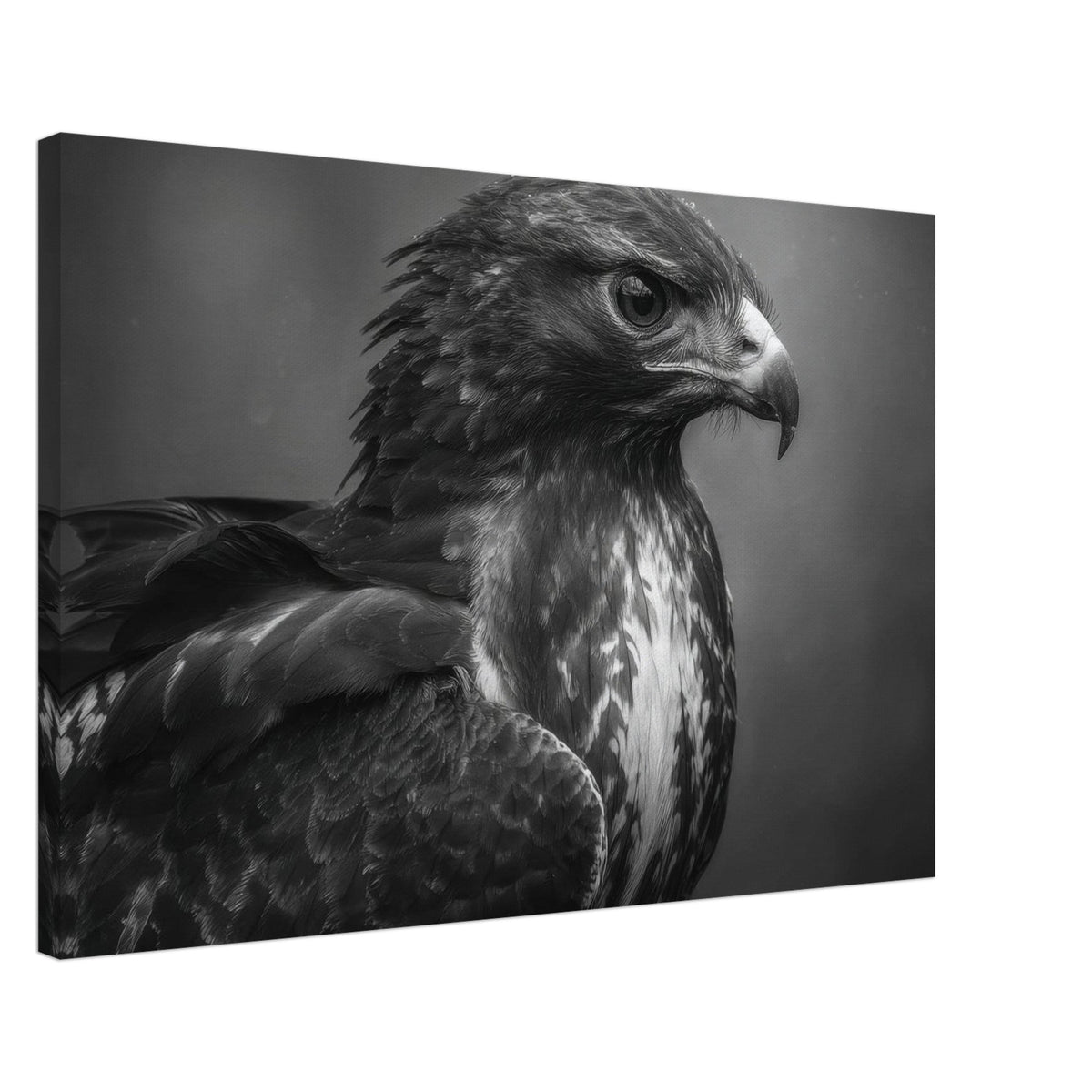 Hawk 0 - Shop Ai Art WebShop - Digital Art online Store