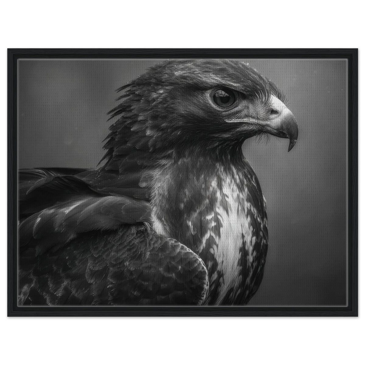 Hawk 0 - Shop Ai Art WebShop - Digital Art online Store
