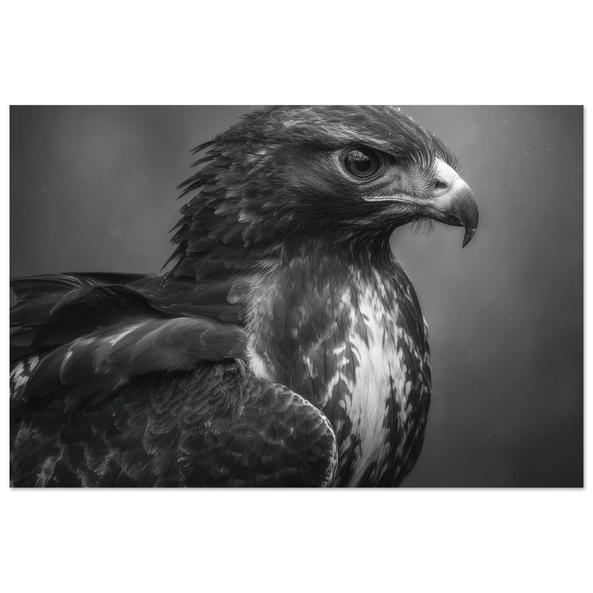 Hawk 0 - Shop Ai Art WebShop - Digital Art online Store