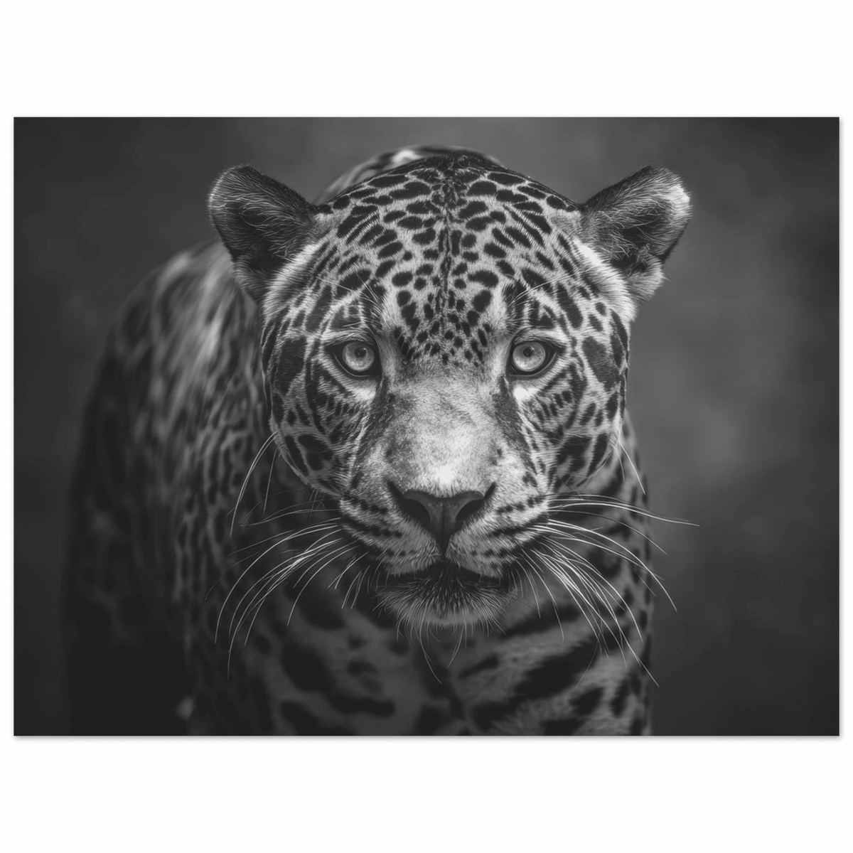 Jaguar Front 2 - Shop Ai Art WebShop - Digital Art online Store