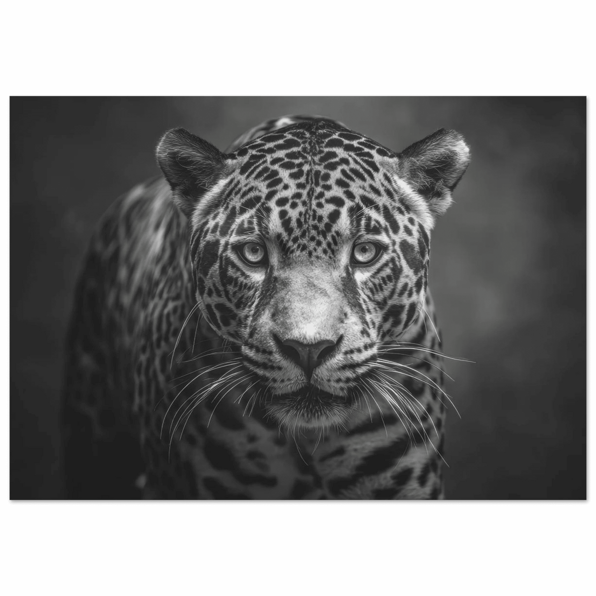 Jaguar Front 2 - Shop Ai Art WebShop - Digital Art online Store