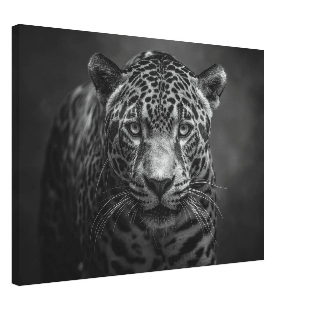 Jaguar Front 2 - Shop Ai Art WebShop - Digital Art online Store