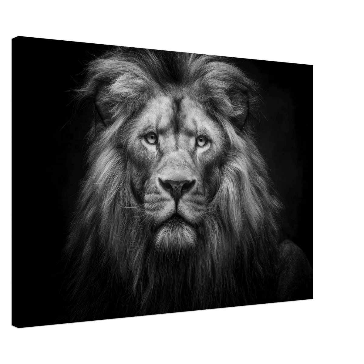 Lion Staring 0 - Shop Ai Art WebShop - Digital Art online Store
