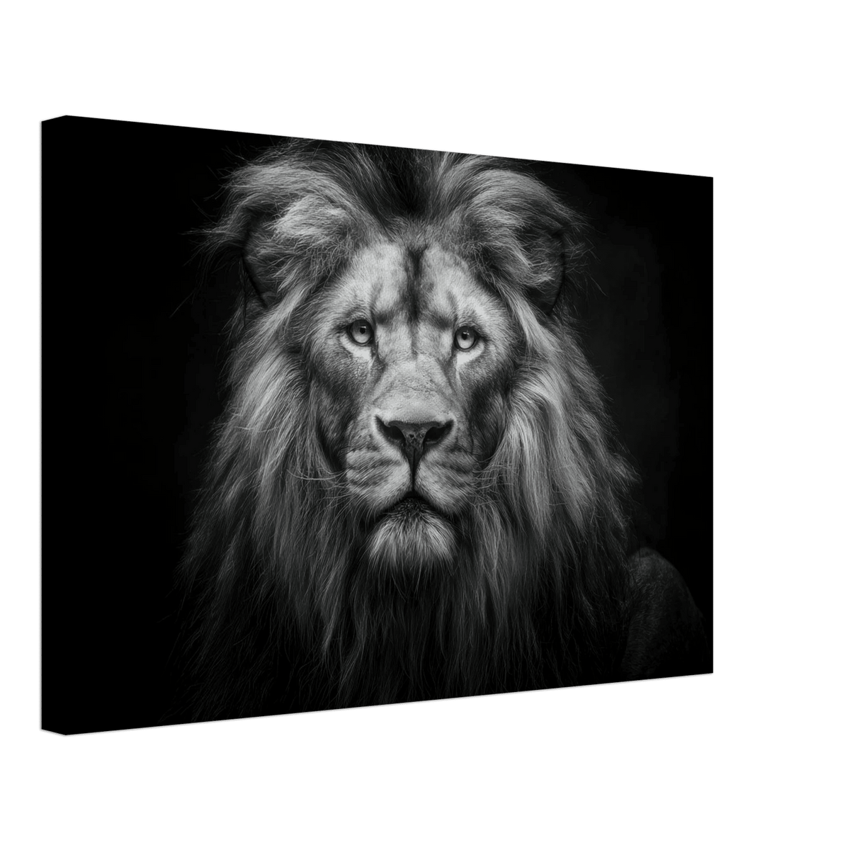 Lion Staring 0 - Shop Ai Art WebShop - Digital Art online Store