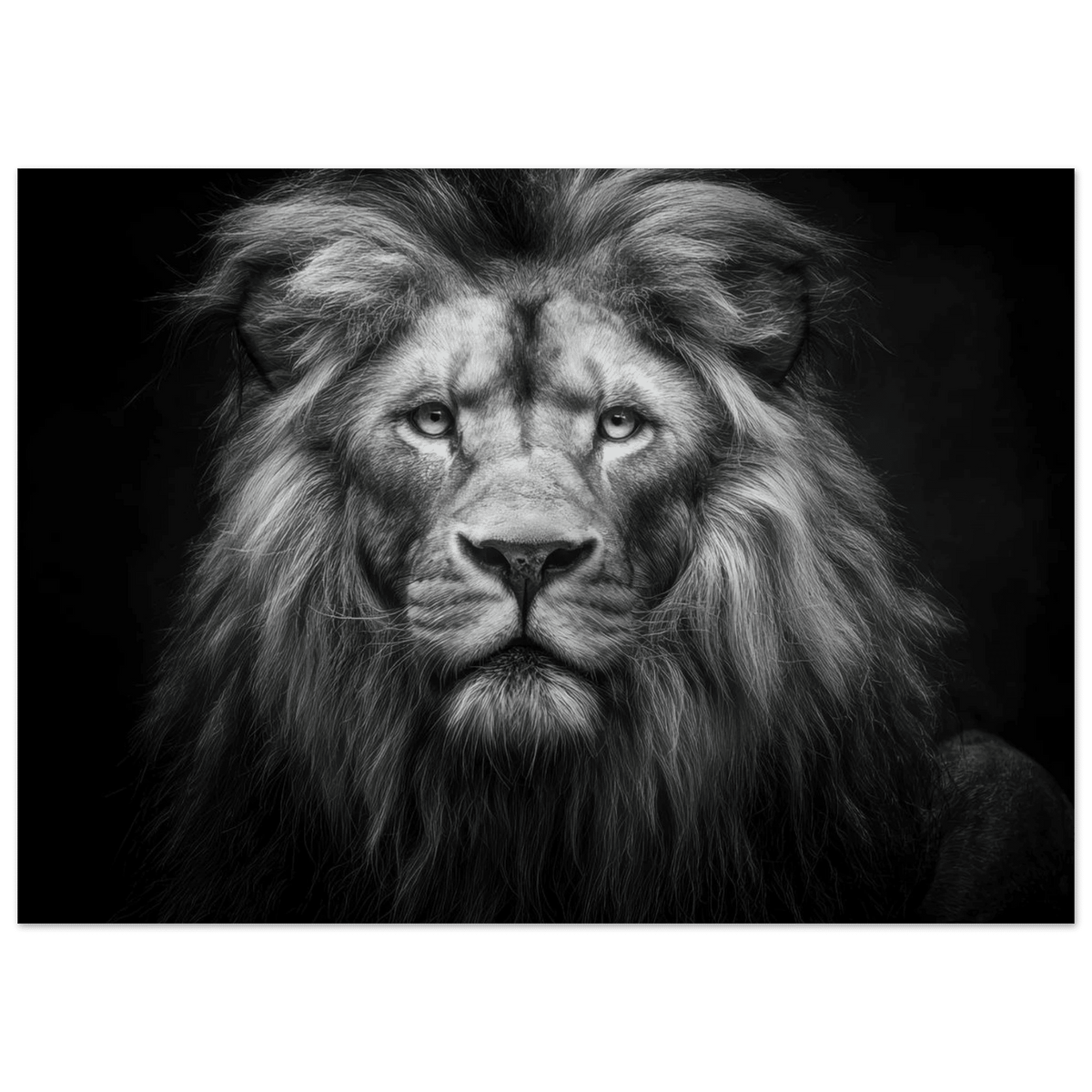 Lion Staring 0 - Shop Ai Art WebShop - Digital Art online Store