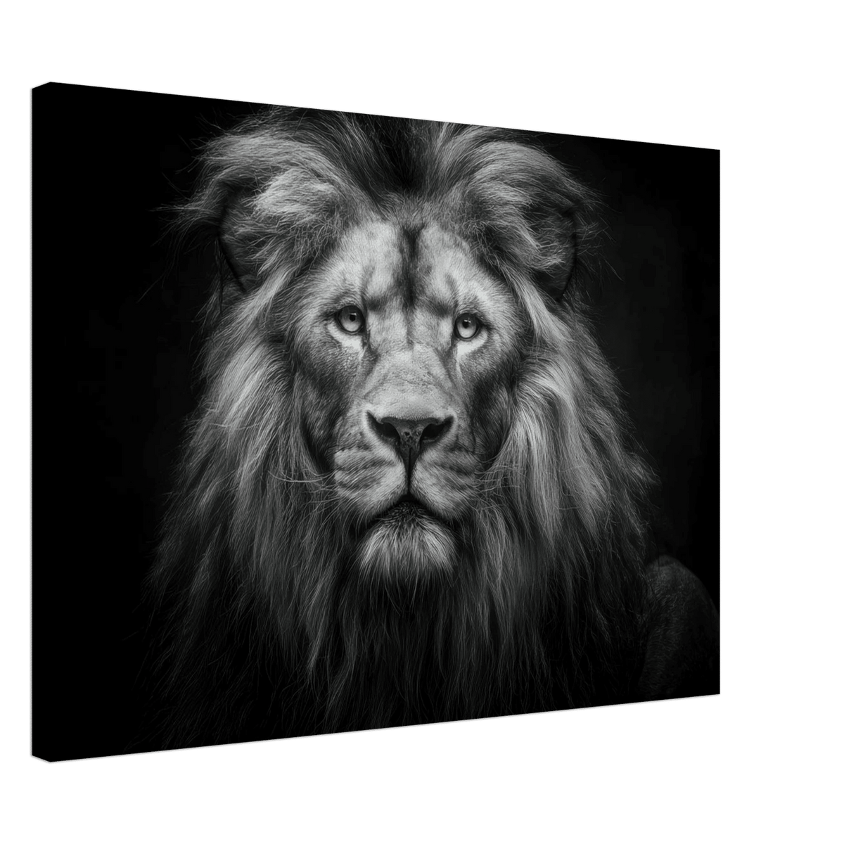 Lion Staring 0 - Shop Ai Art WebShop - Digital Art online Store