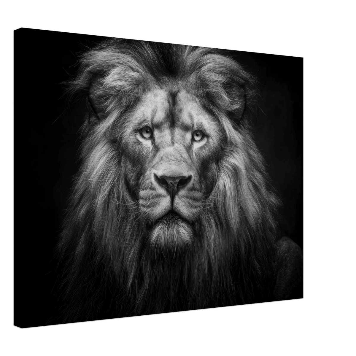 Lion Staring 0 - Shop Ai Art WebShop - Digital Art online Store