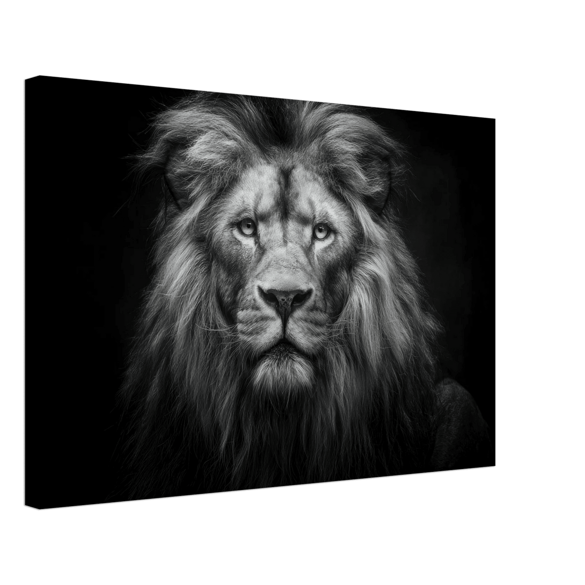 Lion Staring 0 - Shop Ai Art WebShop - Digital Art online Store
