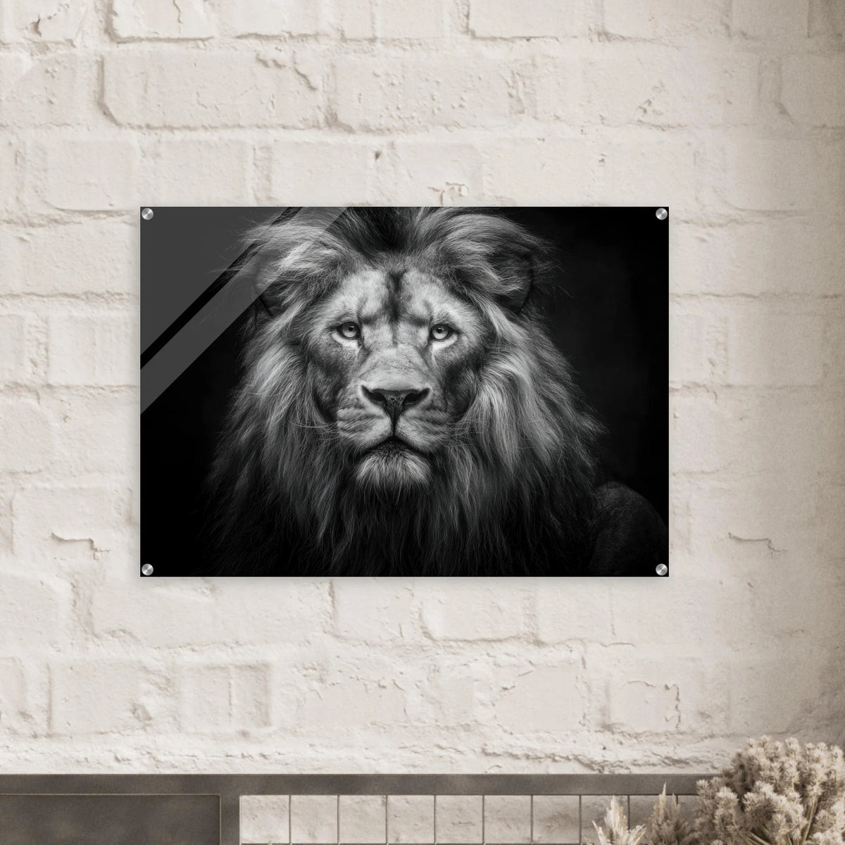 Lion Staring 0 - Shop Ai Art WebShop - Digital Art online Store