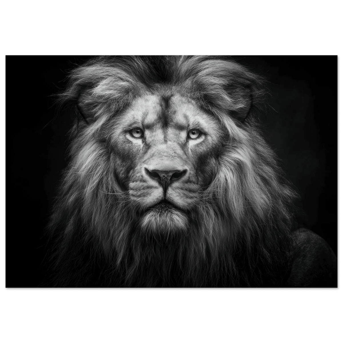 Lion Staring 0 - Shop Ai Art WebShop - Digital Art online Store