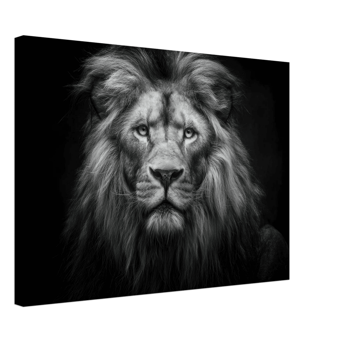 Lion Staring 0 - Shop Ai Art WebShop - Digital Art online Store