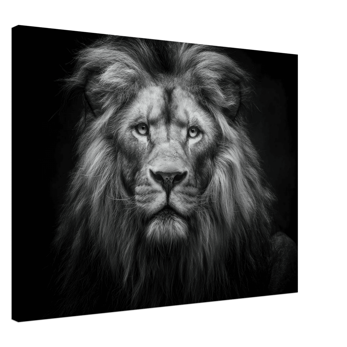 Lion Staring 0 - Shop Ai Art WebShop - Digital Art online Store