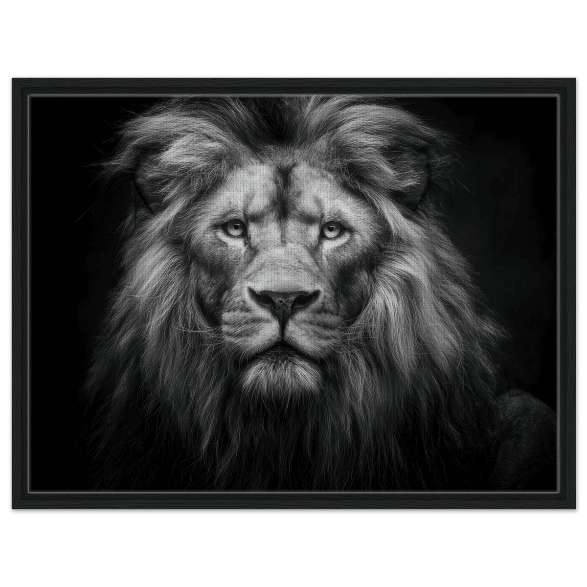 Lion Staring 0 - Shop Ai Art WebShop - Digital Art online Store