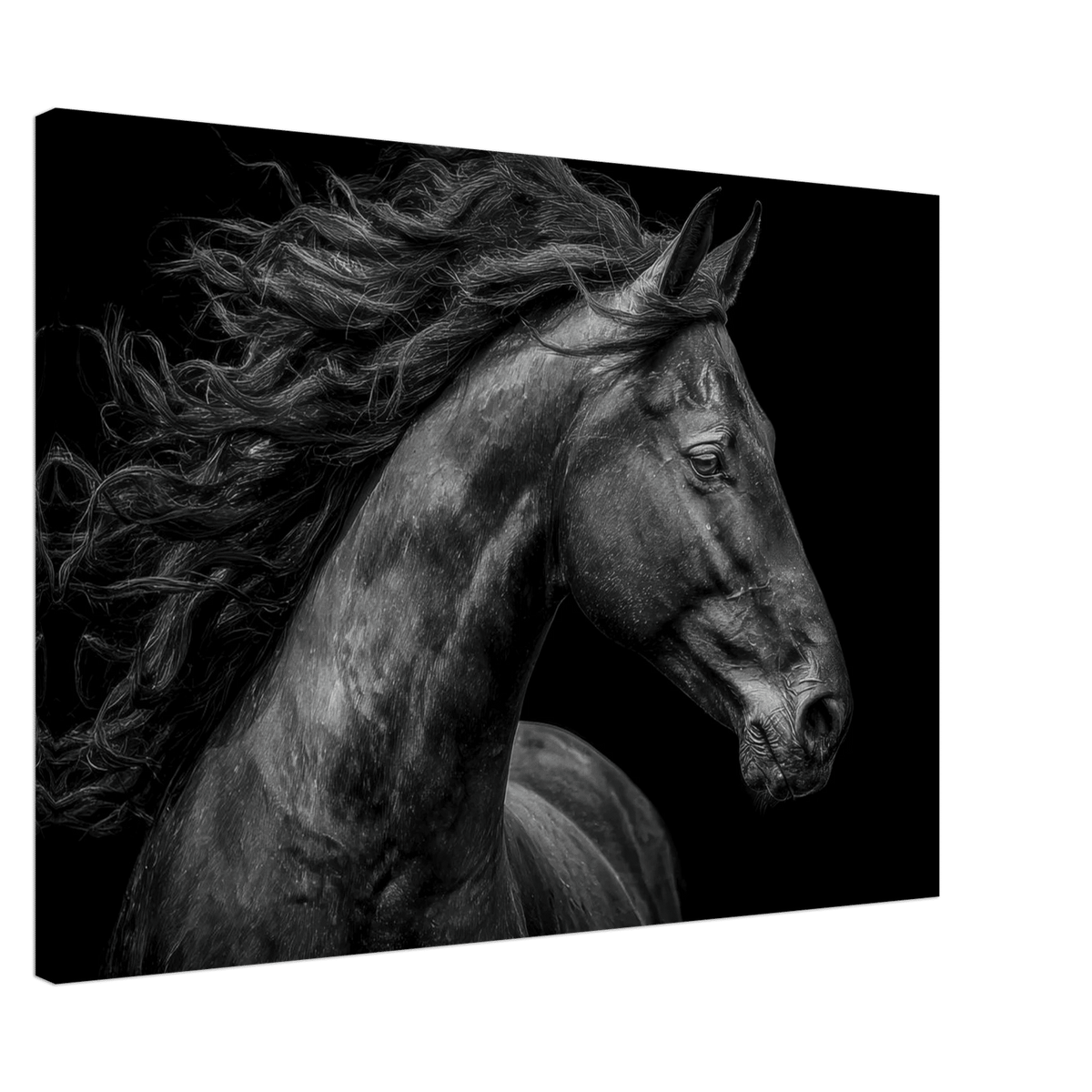 Majestic Black Stallion Head 1 - Shop Ai Art WebShop - Digital Art online Store