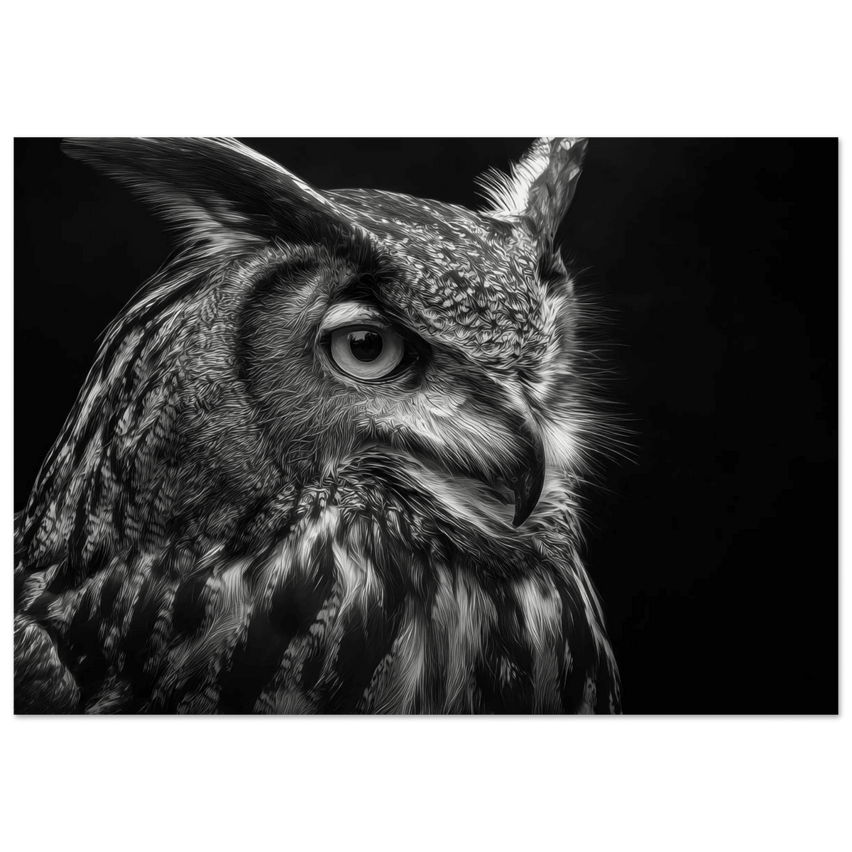 Owl 0 - Shop Ai Art WebShop - Digital Art online Store