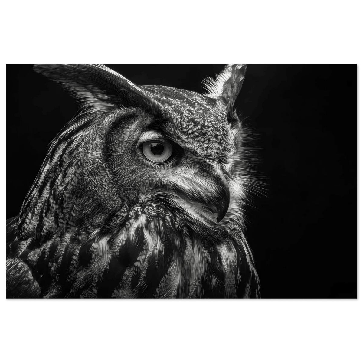 Owl 0 - Shop Ai Art WebShop - Digital Art online Store