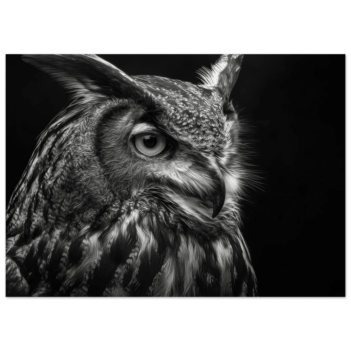 Owl 0 - Shop Ai Art WebShop - Digital Art online Store