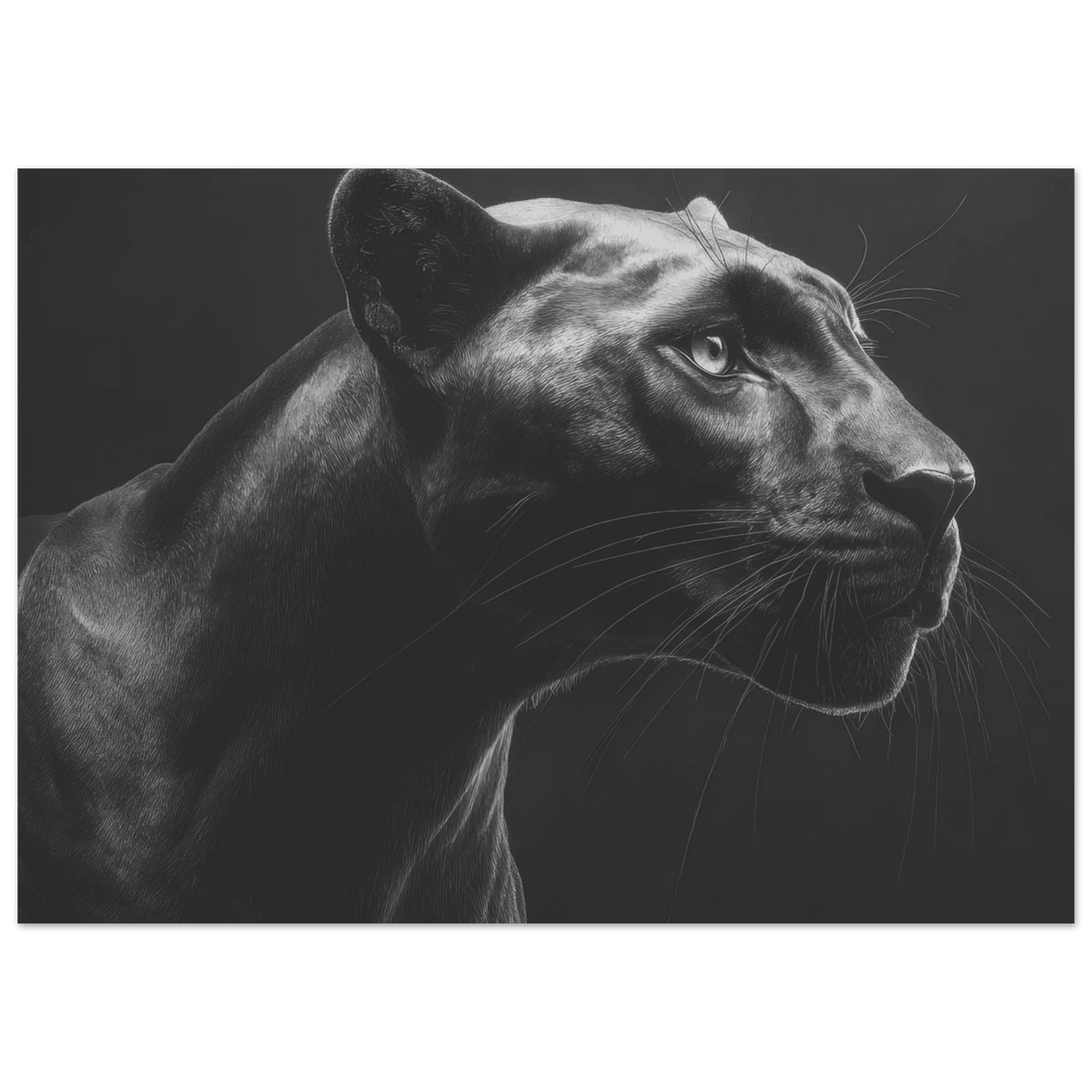 Panther Head in Monochrome Side Profile 1 - Shop Ai Art WebShop - Digital Art online Store