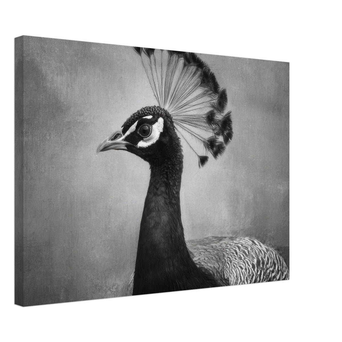 Peacock Front 2 - Shop Ai Art WebShop - Digital Art online Store