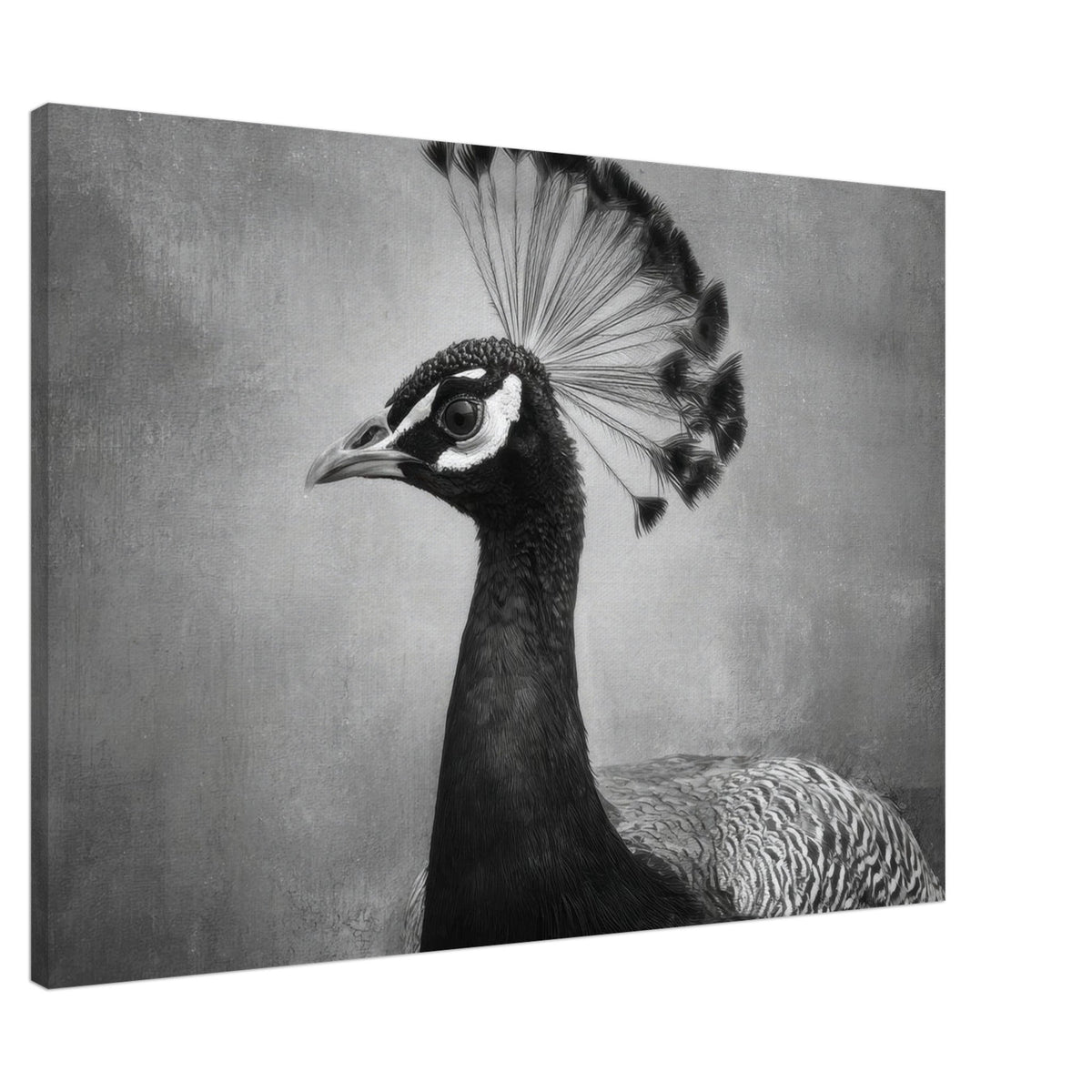 Peacock Front 2 - Shop Ai Art WebShop - Digital Art online Store