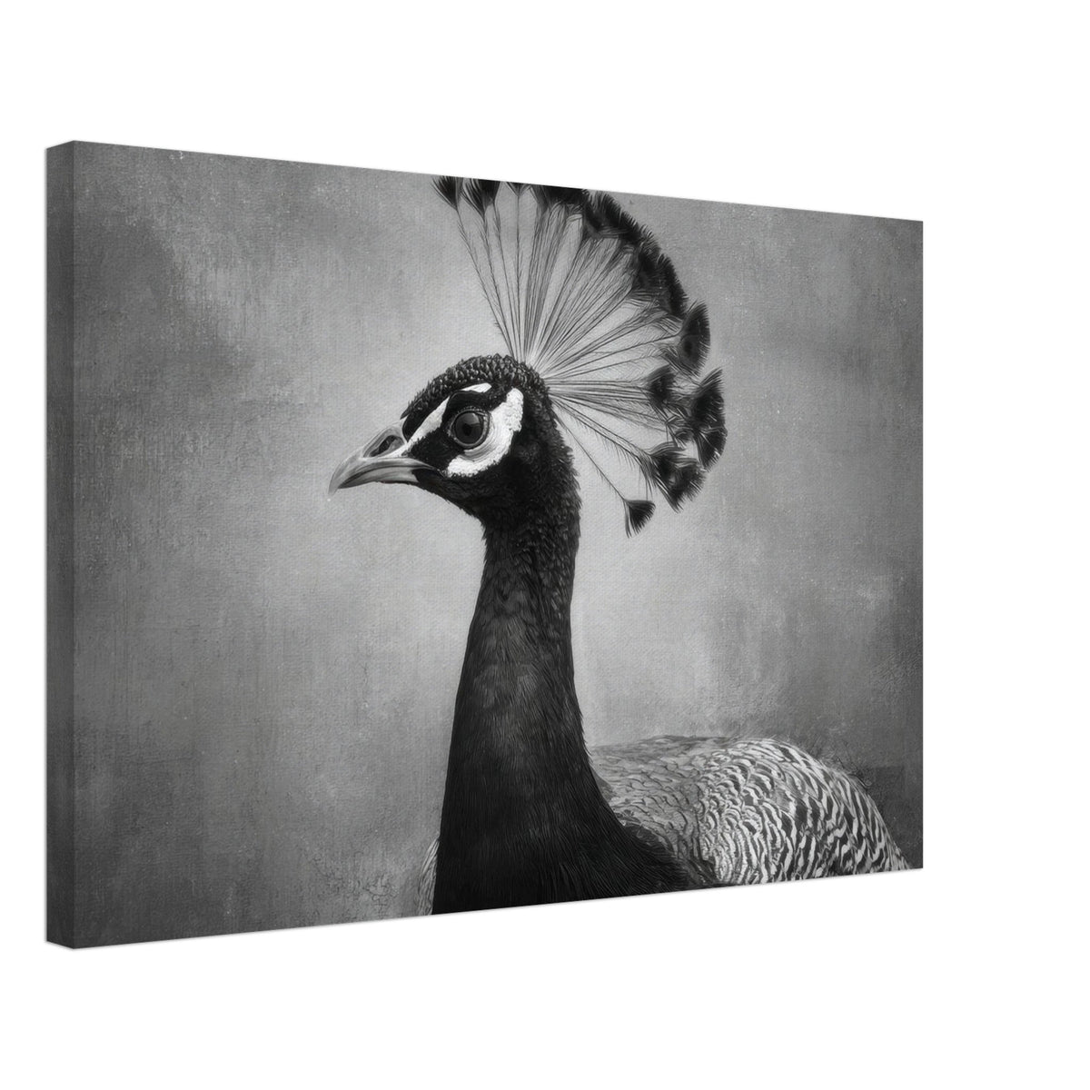 Peacock Front 2 - Shop Ai Art WebShop - Digital Art online Store